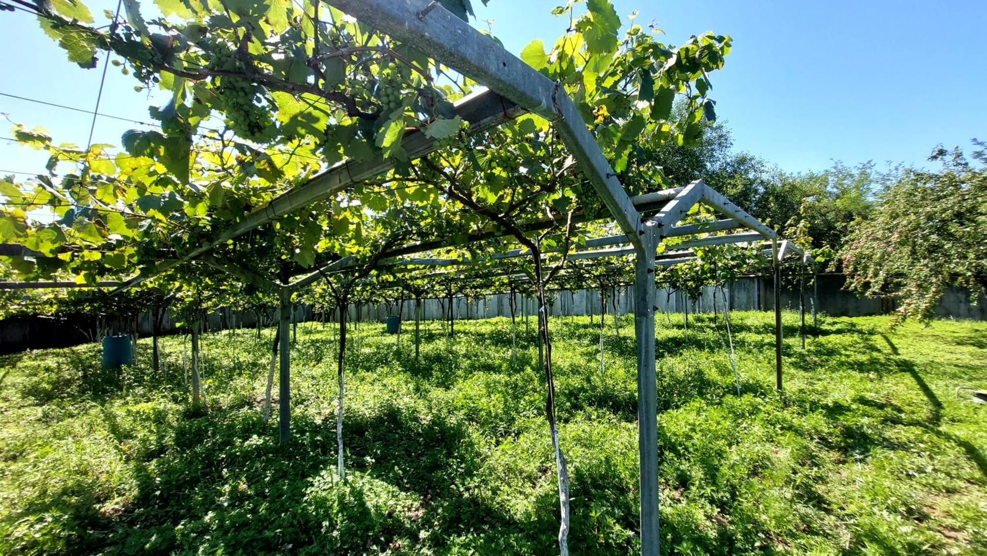 Eco Village צקאלטובו מראה חיצוני תמונה